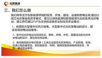 聚焦新三板 國(guó)電能源項(xiàng)目投資機(jī)會(huì)深度解析